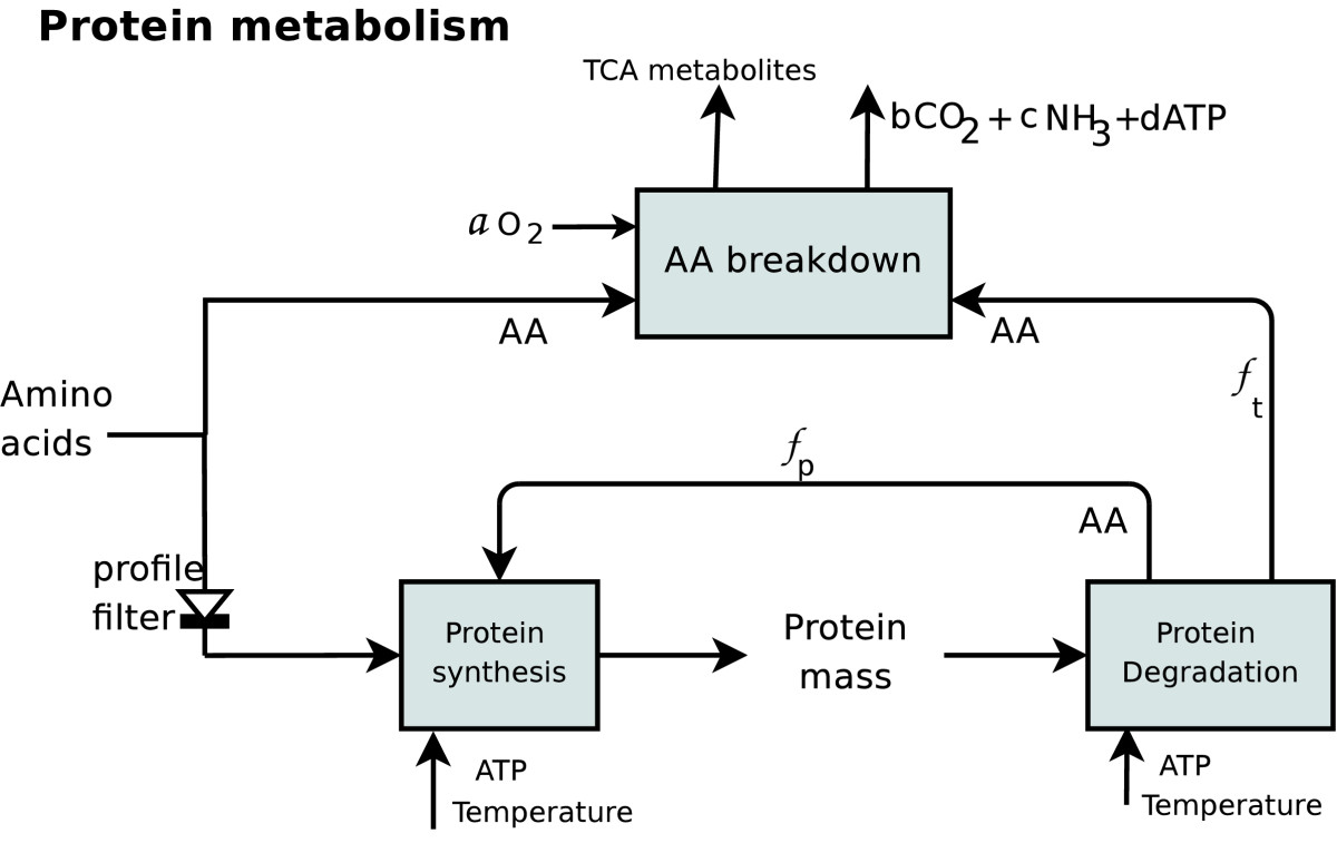 Biochemistry homework help